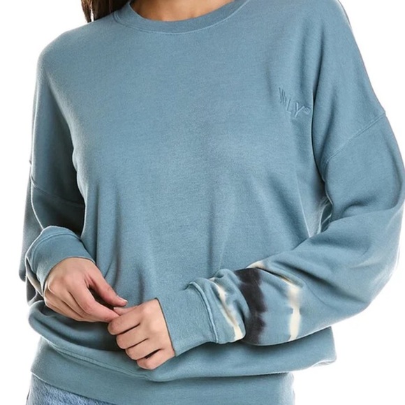 WSLY Ecosoft Ombre Logo Sweatshirt, Crew - Picture 1 of 8